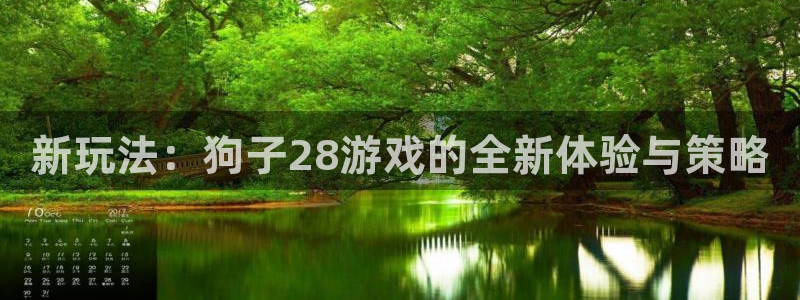 富联娱乐3登录：新玩法：狗子28游戏的全新体验与策略