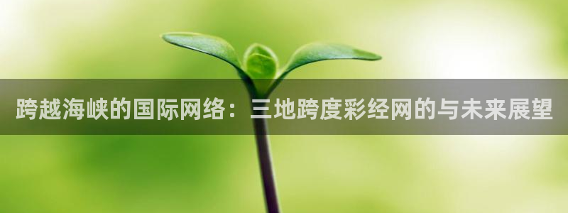 富联娱乐招商：跨越海峡的国际网络：三地跨度彩经网的与未来展望